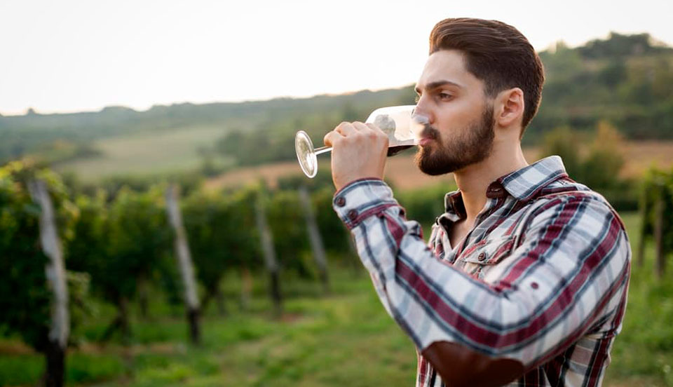 Vinícolas na Serra Catarinense: confira nossas dicas de passeio!