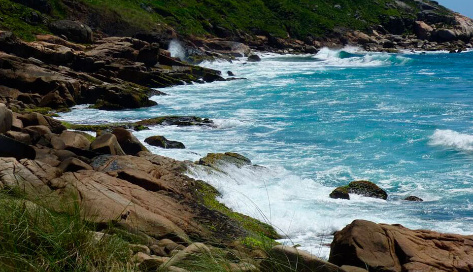 Veja por que você deve conhecer a Praia do Rosa