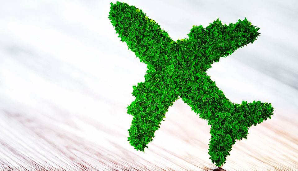 Tudo o que você não sabia sobre Turismo Sustentável